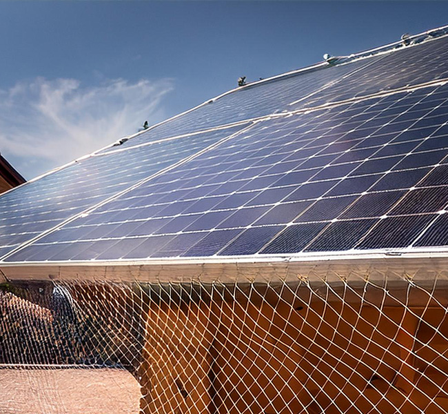 Solar Panel with net against bird nests