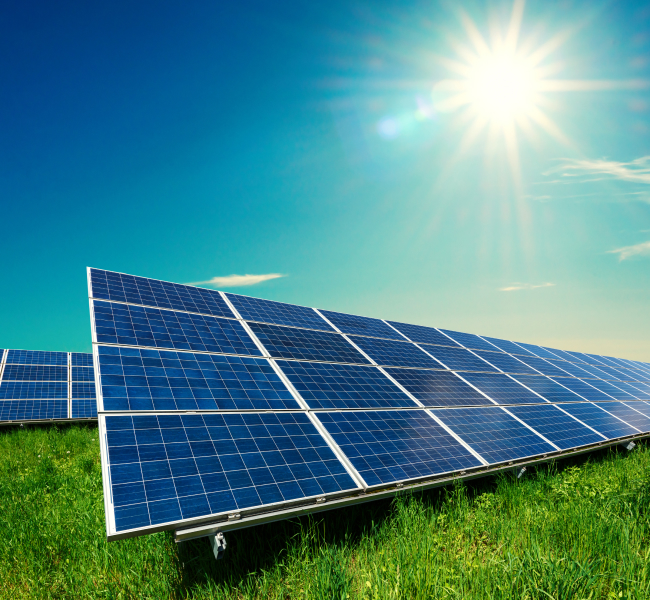 Solar Farm Panels Washing and Cleaning Services